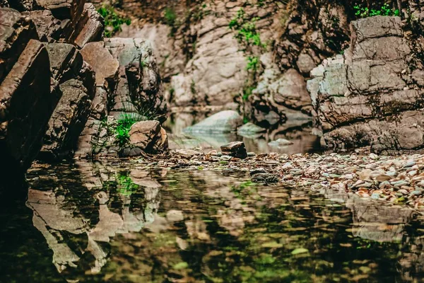 아름다운 바위와 풀 사진 — 스톡 사진
