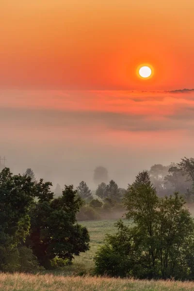 Uma Bela Foto Incrível Pôr Sol Floresta Nebulosa Campo Deslumbrante — Fotografia de Stock