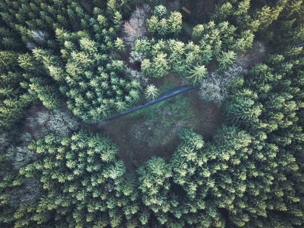 Beautiful Overhead Aerial Shot Thick Green Forest — Stock Photo, Image