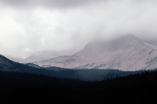 Beautiful shot of snowy mountains and hills covered in fog at winter
