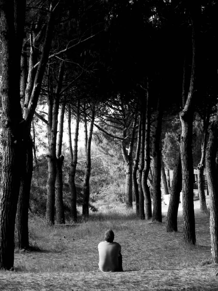 Black and white shot of male sitting in a forest with trees from both sides shot from behind — Stock Photo, Image