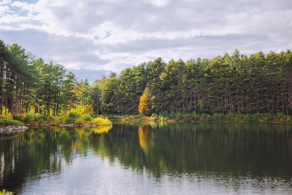 Krásné jezero v lese s odrazy stromů ve vodě a oblačné obloze — Stock fotografie