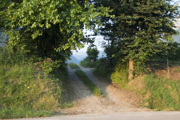 De weg — Stockfoto