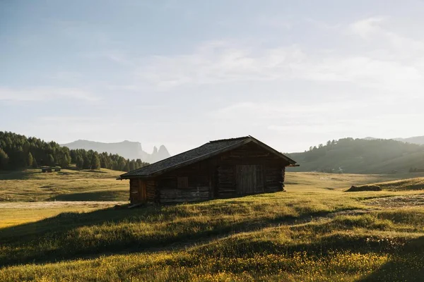 Záběr malé dřevěné kabiny na travním poli obklopeném stromy — Stock fotografie