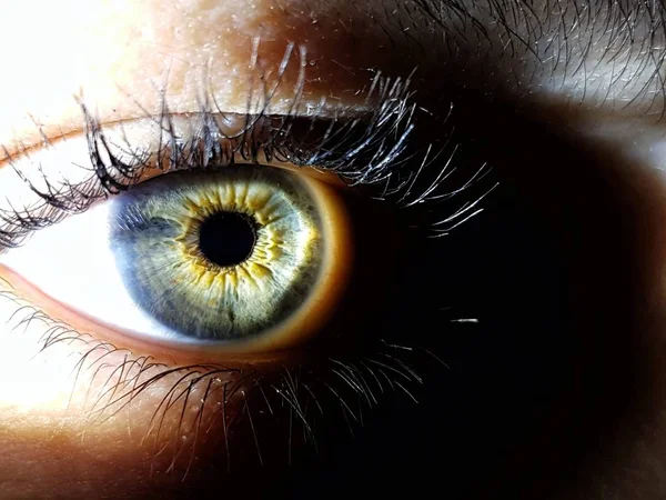 Beautiful macro closeup shot of a female human's deep eyes — Stock Photo, Image