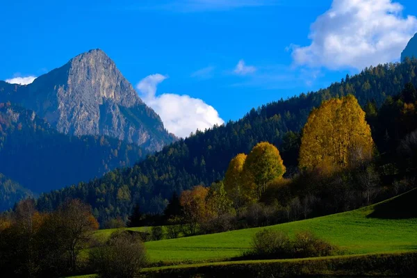 Belo tiro de um campo gramado com árvores verdes e amarelas com céu azul e de montanha — Fotografia de Stock