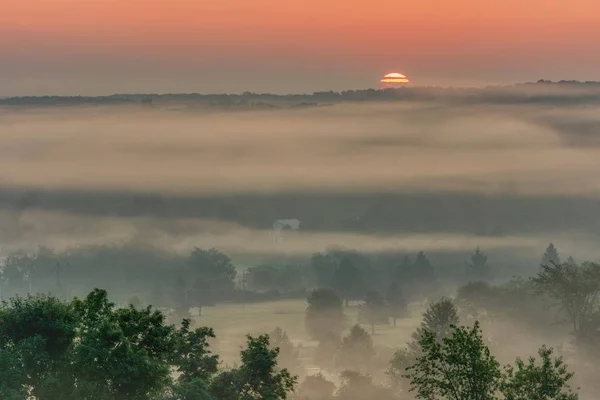 Bela foto do incrível pôr do sol na floresta nebulosa do campo e do deslumbrante céu vermelho — Fotografia de Stock