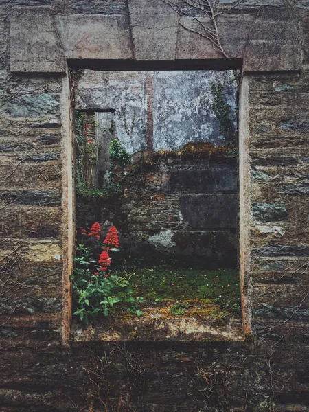 Vertikal bild av en bergvägg med ett squere fönster utan glas och röd blomma — Stockfoto