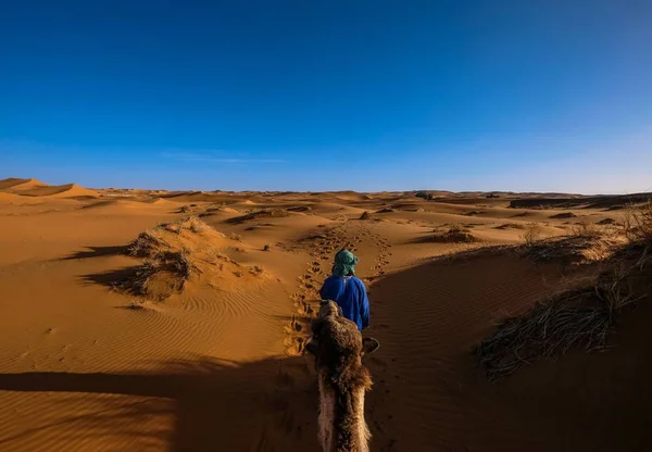 Hombre con una camisa azul caminando delante de un camello en medio de dunas de arena con cielo despejado — Foto de Stock