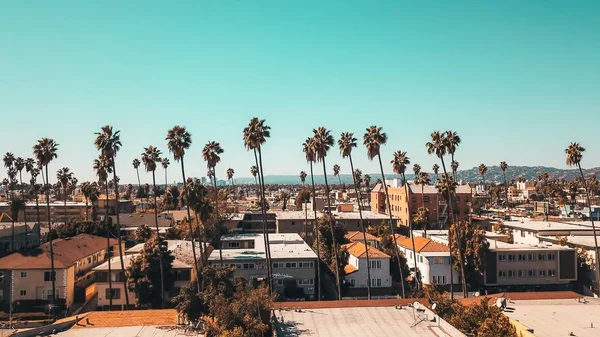 Aerial landscape shot of a suburban area of the town with palm trees and clear blue sky — Stock Photo, Image