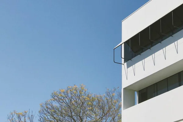 Schot van een wit gebouw in de buurt van bomen — Stockfoto