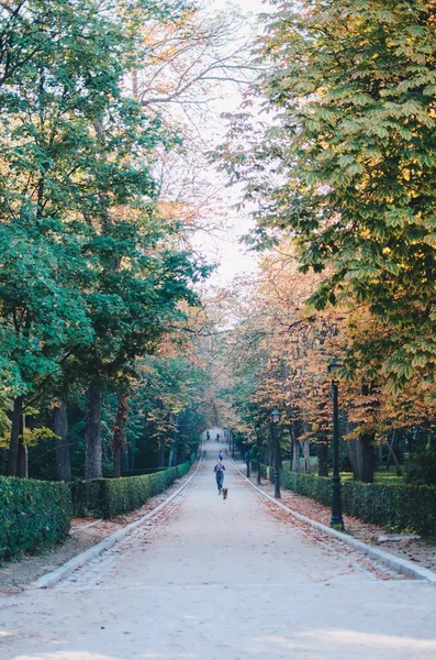 Dia Outono Parque Del Retiro Madrid — Fotografia de Stock