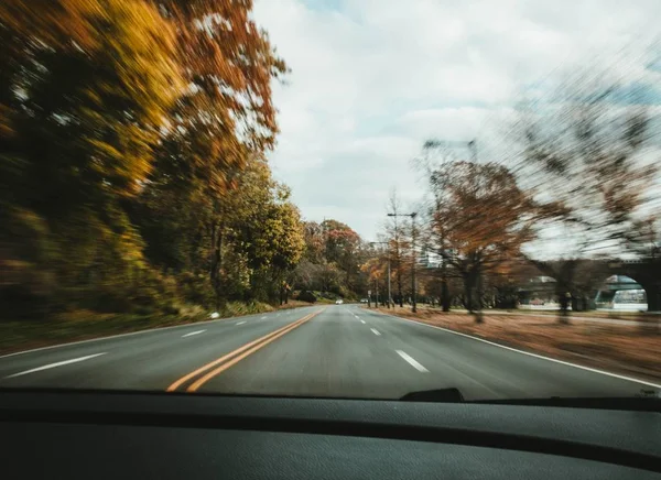 A fast car movement on the road with trees — Stock Photo, Image