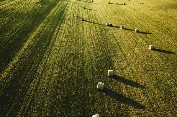 Velká krásná zemědělská oblast s hroby z vyšších svíce — Stock fotografie