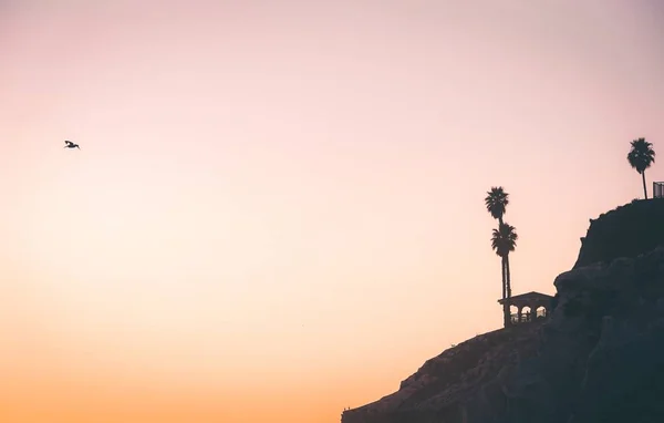 Silhuett av en klippa vid solnedgången whit en pelikan flyger i fjärran med utrymme för text — Stockfoto