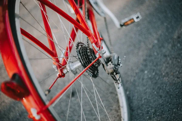 Κοντινά πλάνα από τον πίσω τροχό ενός κόκκινου ποδηλάτου στο τσιμέντο — Φωτογραφία Αρχείου