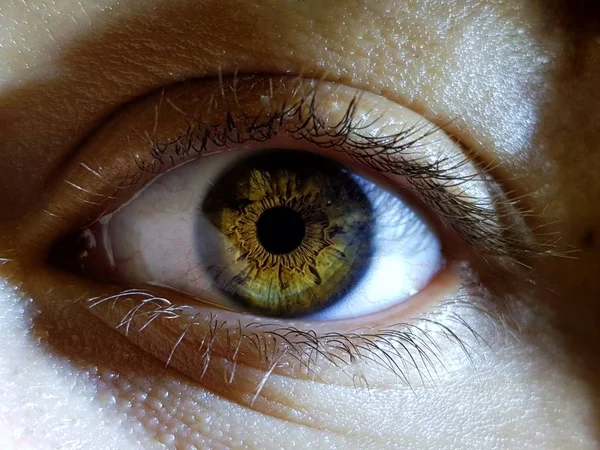 Hermoso primer plano macro de los ojos profundos de un humano femenino —  Fotos de Stock