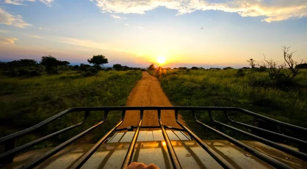 Camino de tierra en medio de campos de hierba disparado desde un coche y el sol brillando en el cielo — Foto de Stock