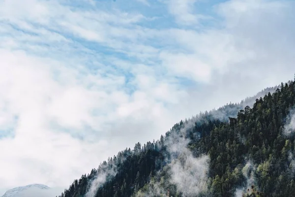 Luchtfoto van een bos op een hoge heuvel met wolken en blauwe lucht — Stockfoto