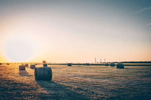 Mooie foto van een groot droog veld met voorraden hooi rond — Stockfoto