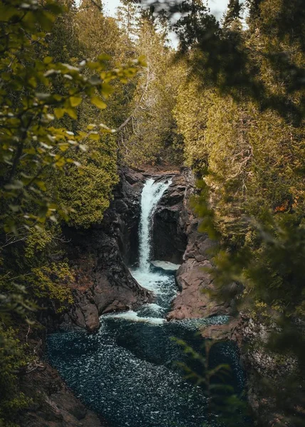 Tiro vertical de una cascada que fluye por el arroyo cerca de rocas y plantas —  Fotos de Stock