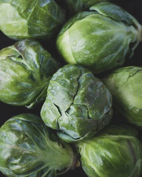 Brotes de Bruselas — Foto de Stock