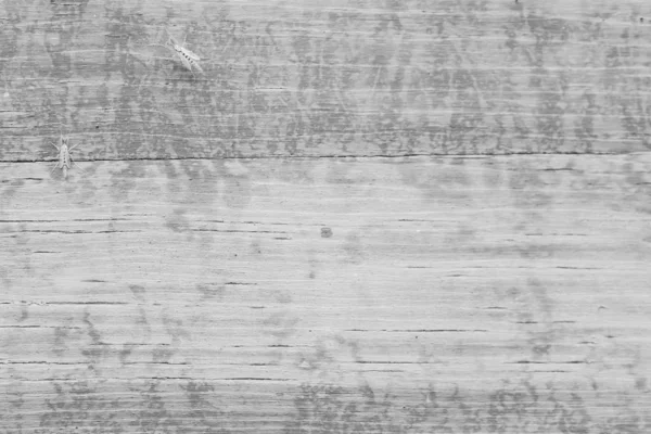 Прохолодний гранжевий сірий дерев'яний фон або шпалери — стокове фото