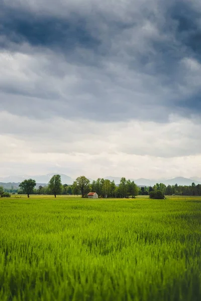 Κάθετη βολή ενός όμορφου πράσινου πεδίου με έναν παλιό αχυρώνα ορατό στην απόσταση — Φωτογραφία Αρχείου