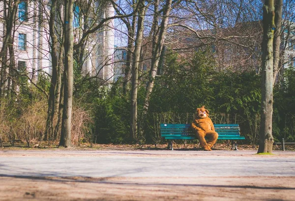 Osoba oblečená v medvědím obleku sedící na lavičce — Stock fotografie
