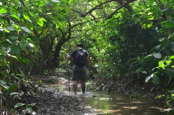 Мужчина-турист, переходящий лес с деревянной палкой и стоящий босиком в луже грязи — стоковое фото