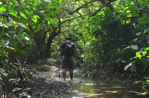 Sendero macho cruzando el bosque con un palo de madera y levantándose descalzo en un charco de barro. —  Fotos de Stock