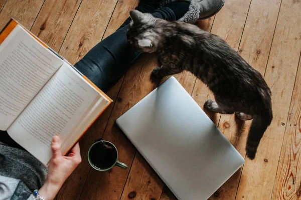 Overhead skott av en fluffig katt, kvinnlig läser en bok, laptop och en kopp te på golvet — Stockfoto