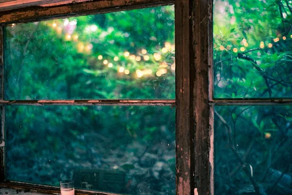 View of a forest from a weathered rusty wooden window — Stock Photo, Image