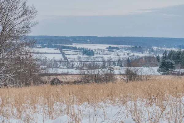 Красиві пейзажі сільських пагорбів під час зими — стокове фото