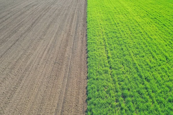 Mooie luchtfoto van een groen agrarisch veld — Stockfoto