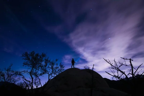 Person holding a flashlight standing on a rock surrounded by trees under a purplish starry night sky — 스톡 사진