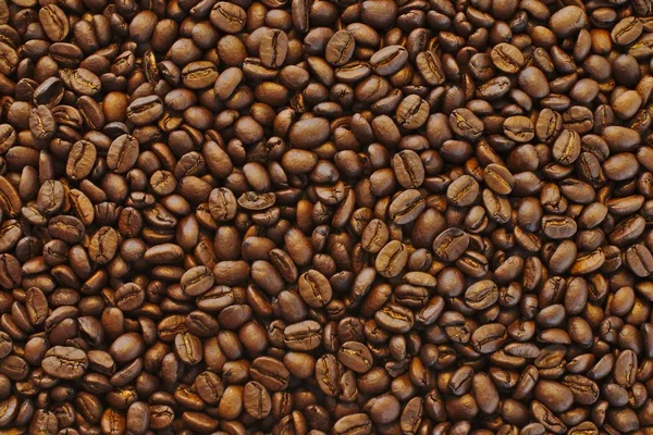 Magnifique gros plan de grains de café noirs frais marron - fond parfait ou papier peint — Photo