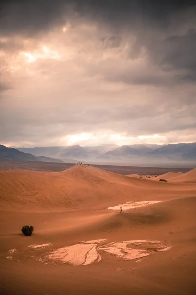 Mesquite flache Sanddünen — Stockfoto