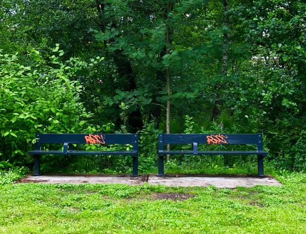 Tiro largo de dois bancos azuis cercados com grama verde e árvores — Fotografia de Stock