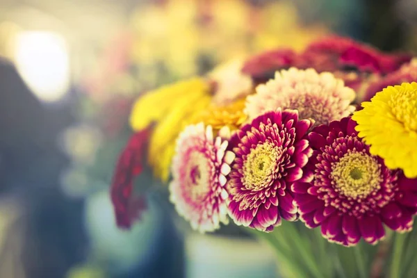 Zbliżenie strzał bukiet kwiatów z wielobarwne kwiaty — Zdjęcie stockowe