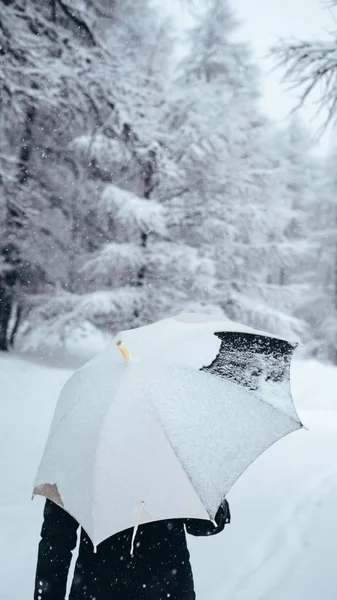Κάθετη επιλεκτική βολή ενός ατόμου που κρατά μια ομπρέλα κοντά σε δέντρα καλυμμένα με χιόνι — Φωτογραφία Αρχείου