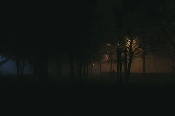 Široký záběr tmavého lesa se stromy v době, kdy se v noční košili — Stock fotografie