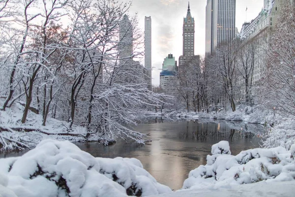 Zamarznięte jezioro otoczone drzewami wypełnionymi śniegiem w pobliżu drapaczy chmur w Central Parku w Nowym Jorku — Zdjęcie stockowe