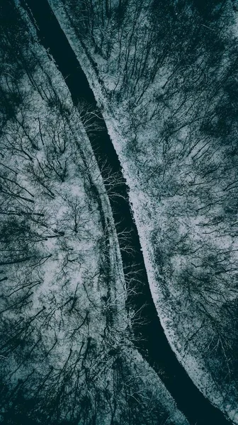 Belo tiro aéreo aéreo de uma estrada estreita entre árvores durante o inverno — Fotografia de Stock
