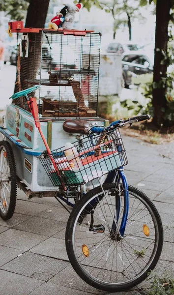 Primo piano verticale selettivo di una bicicletta blu con cesto e gabbia per uccelli — Foto Stock