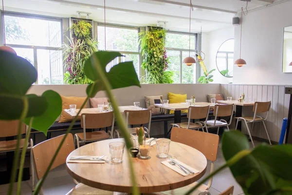 Vista selectiva de un restaurante con mesas y plantas de madera — Foto de Stock