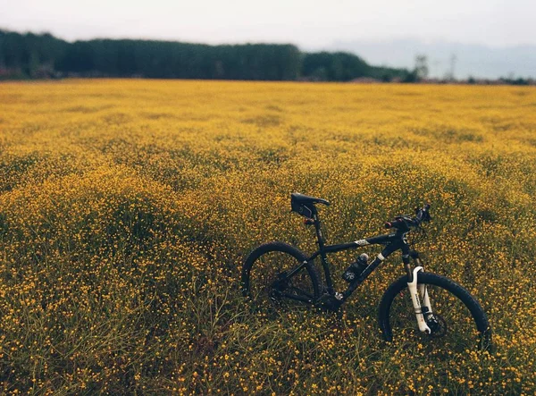 Piękne ujęcie roweru górskiego w środku żółtego pola kwiatowego z rozmytym tłem — Zdjęcie stockowe