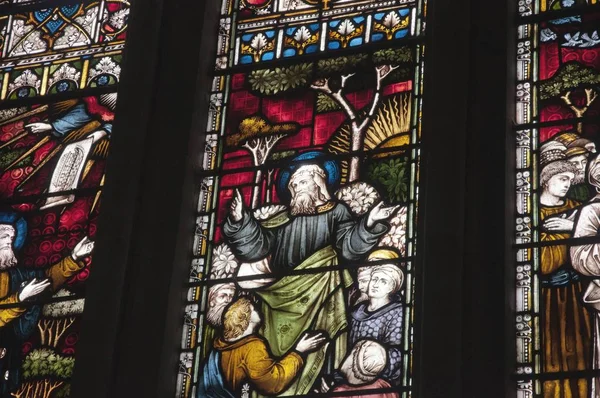 Alacsony szögű lövés a vallási képek a Worcester katedrális ablakán, Anglia — Stock Fotó