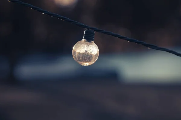 Вибірковий знімок фокуса вимкненої лампочки на струні — стокове фото