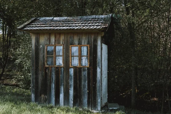 Kleine Holzhütte mit braunen Fenstern mit weißen Vorhängen in einem Wald, umgeben von Bäumen — Stockfoto